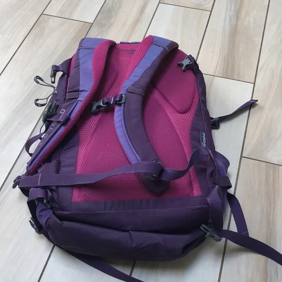 Osprey CelestePurple Backpack - Picture 2 of 3